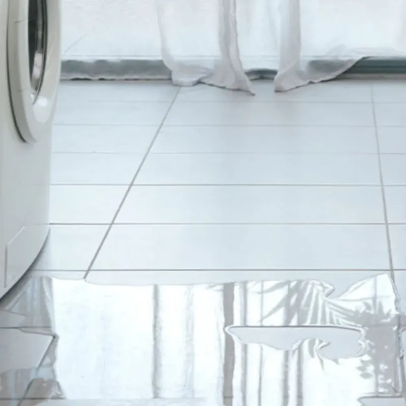 Appliance Leak Cleanup in Buena Vista, CA
