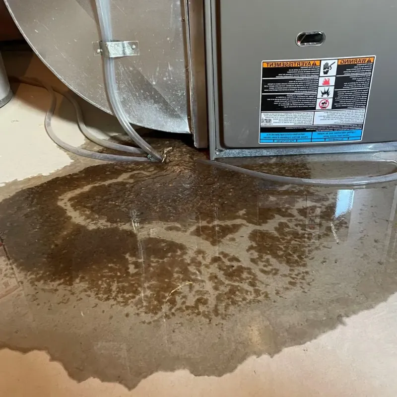 Pipe Burst and Leak Restoration in Buena Vista, CA