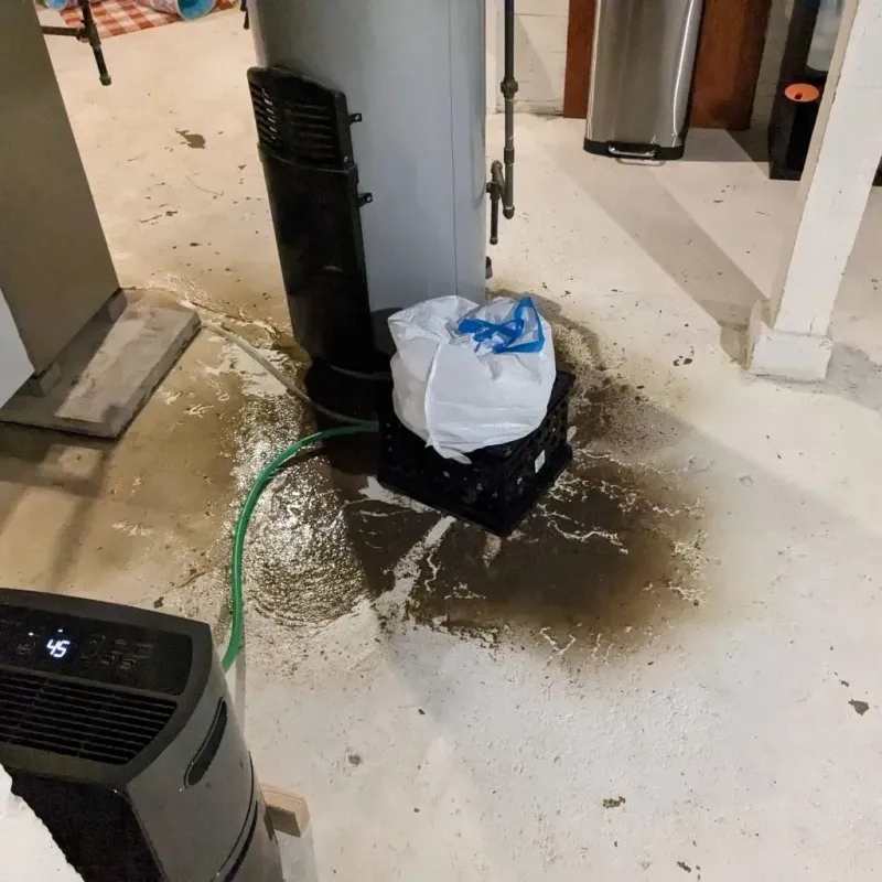 Sewage Backup Cleanup Service in Buena Vista, CA